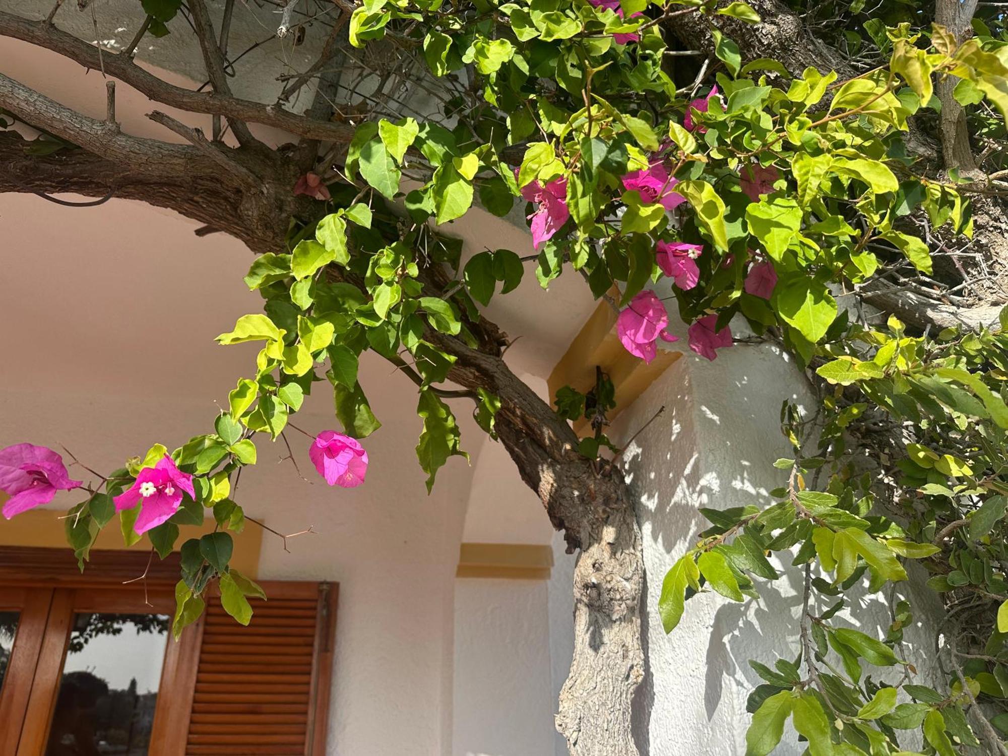 Casa Hermosa Mijas Exterior foto